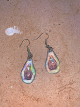 Load image into Gallery viewer, Mini Oyster Earrings; Made to Order
